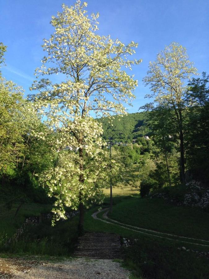 Agriturismo Fattoria Togonegro Bauernhof Marostica