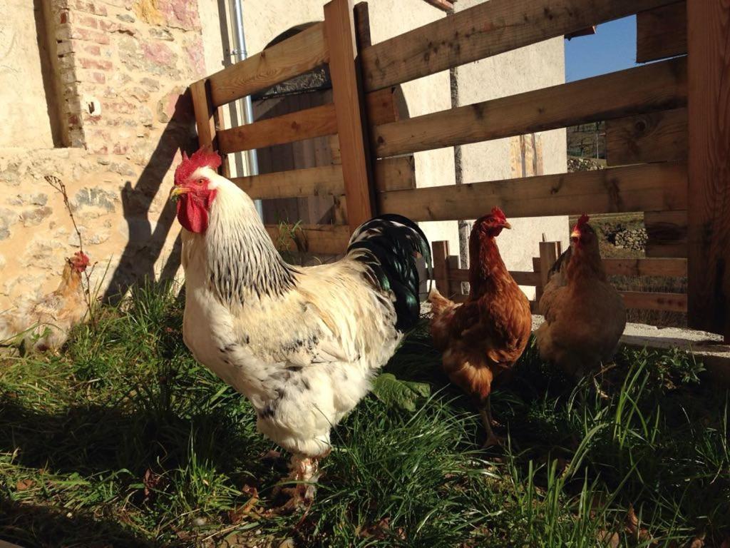Bauernhof Agriturismo Fattoria Togonegro Marostica
