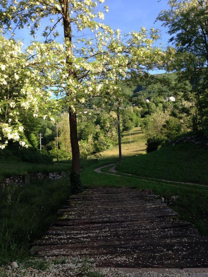 Bauernhof Agriturismo Fattoria Togonegro