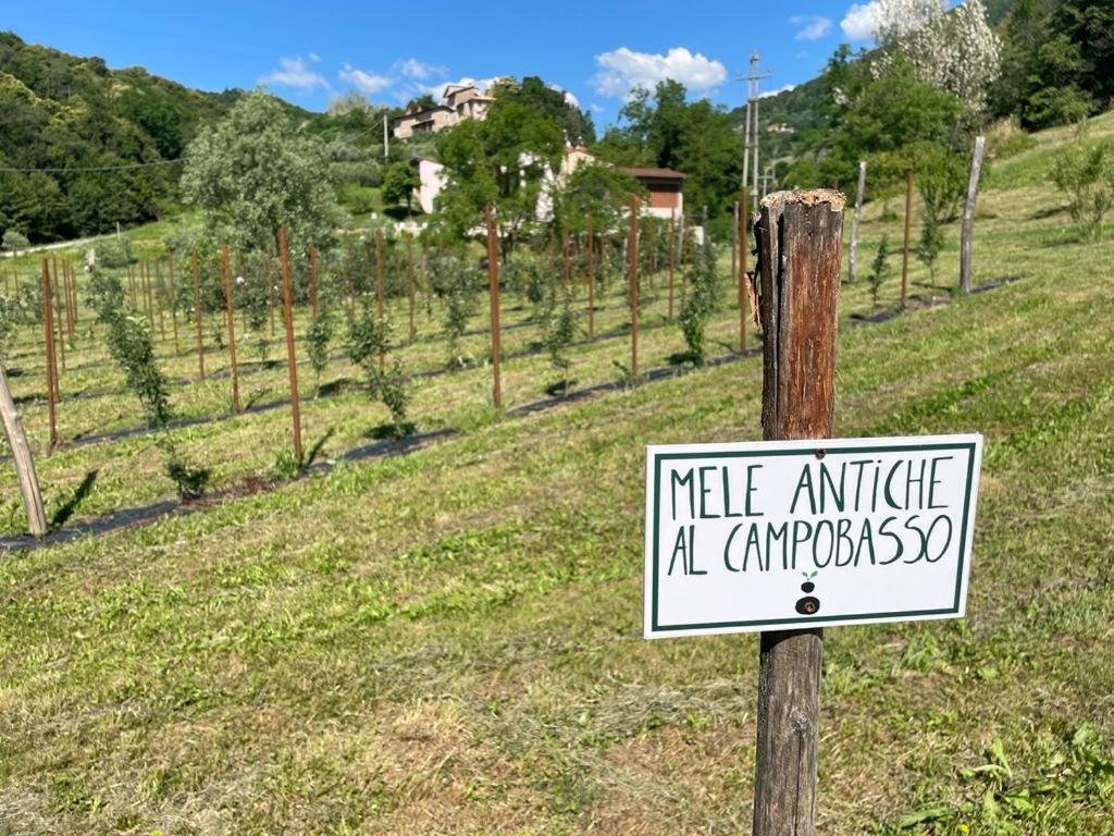 Agriturismo Fattoria Togonegro Marostica