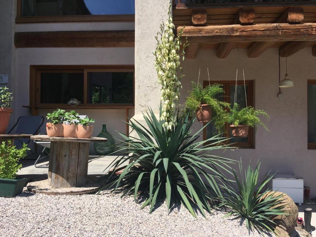 Bauernhof Agriturismo Fattoria Togonegro *