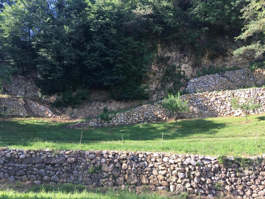 Agriturismo Fattoria Togonegro *
