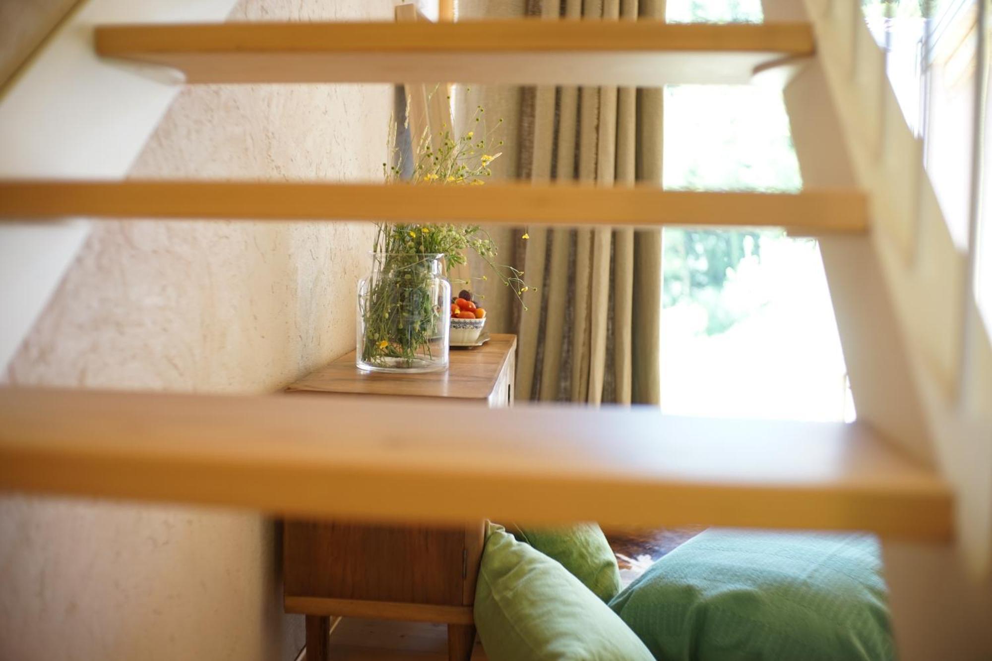 Agriturismo Fattoria Togonegro Bauernhof *